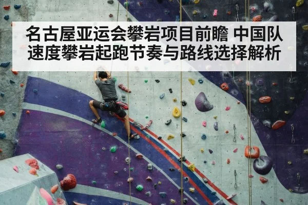 sport climbing competition wall