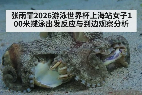 张雨霏2026游泳世界杯上海站女子100米蝶泳出发反应与到边观察分析